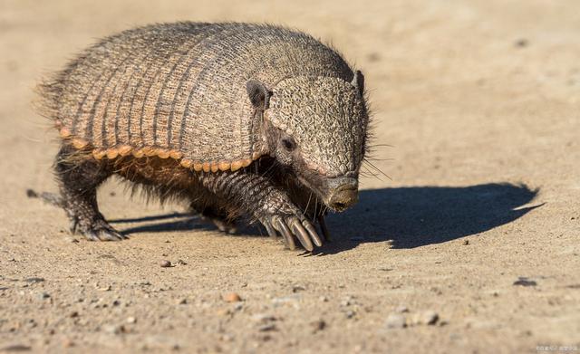BB贝博体彩平台登录入口-$`揌-BB贝博体彩平台登录入口